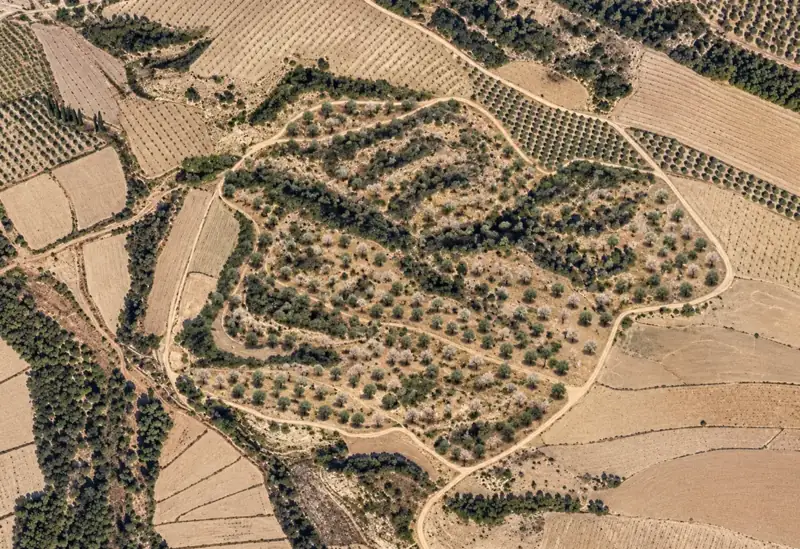 AI-generated concept of Land for sale; illustrative only